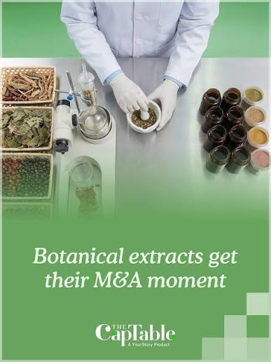 Inside the Botanical Supply Chain: How a Niche Import Category Became a Real Industry